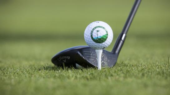 Golfbal Ter Hille