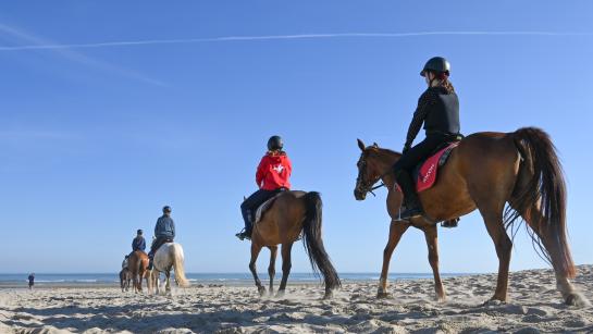 Paardrijden op het strand