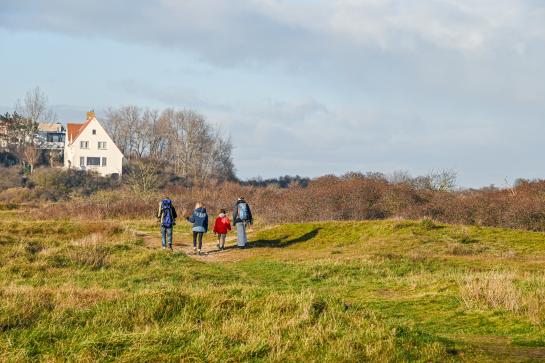 Wandelen in de Spelleplekkeduinen