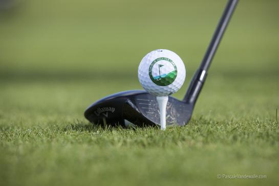 Golfbal Ter Hille