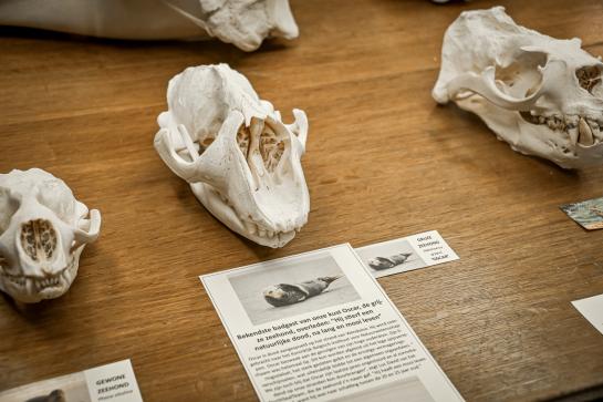 MuseOs