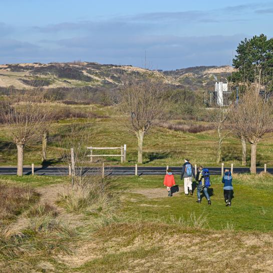 Wandelen in de Spelleplekkeduinen