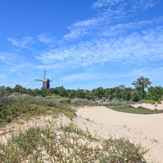 abdijmolen in de duinen